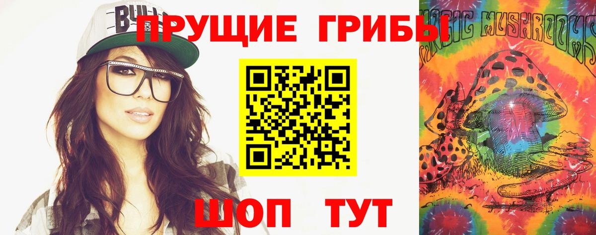 Сухой Лог  Псилоцибиновые грибы MAGIC MUSHROOMS  Вход с VPN 